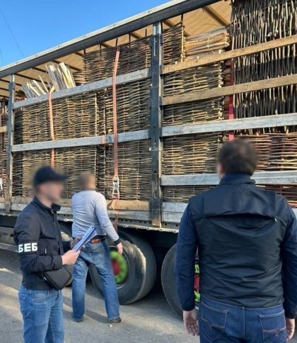 На Львівщині викрили 54-річного чоловіка на контрабанді деревини