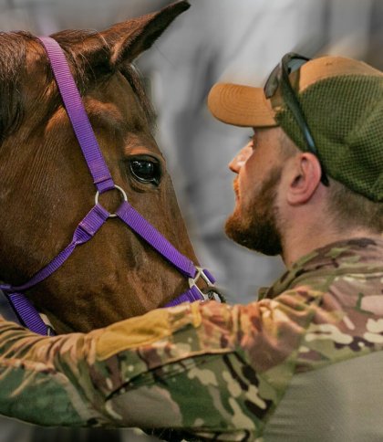Львівська міськрада виділила 200 тисяч на покупку коней для реабілітації військових