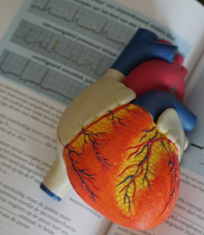 Вчені визначили, який ген спричиняє ризик серцевого нападу