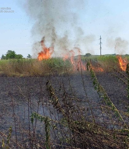 На Львівщині ліквідували пожежі у шести районах: згорів 1 га сухостою