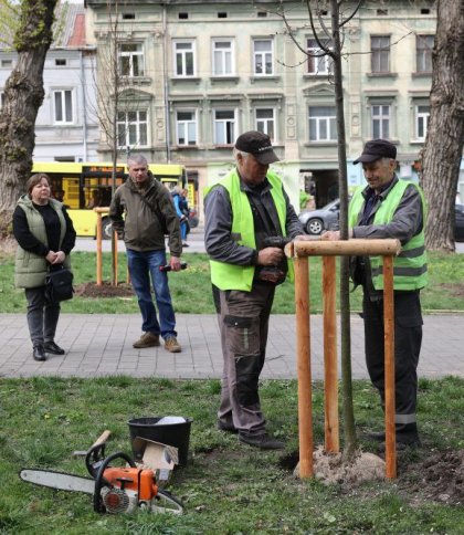 У Львові проходить акція "Подаруй місту дерево".
