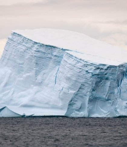 Більшість льодовиків у світі зникне до 2050 року через зміни клімату