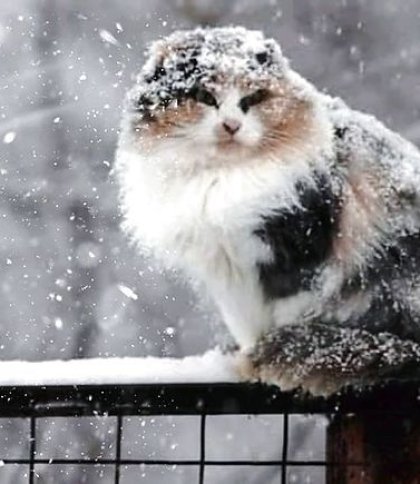 Дощ та сніг: якою буде погода на Львівщині 17 грудня