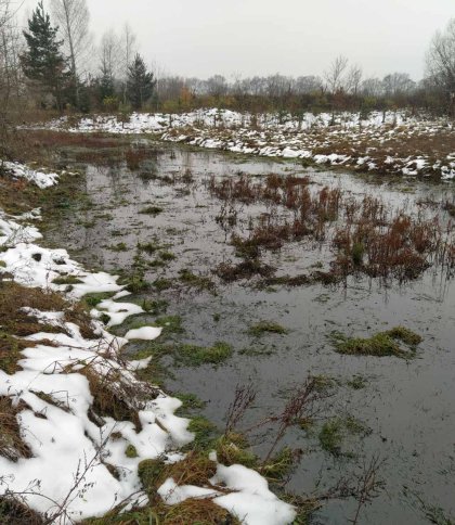 Екологи виявили у каналі на Стрийщині нафтопродукти: канал веде до річки Дністер