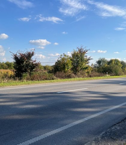 Компанія власника мережі АЗС купила ділянку на трасі до Стрия