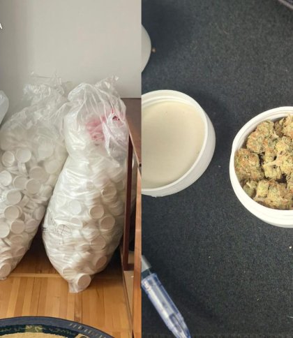 Львів’янин вирощував наркотики в домі 77-річної матері