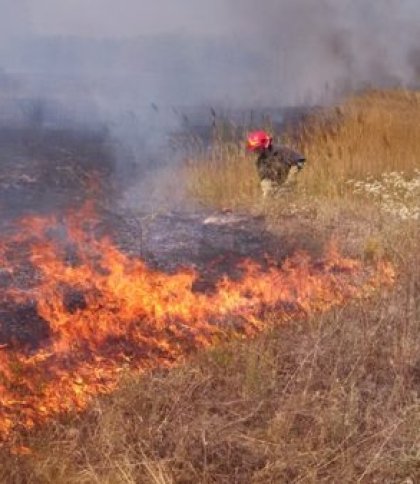 Територію Львівської громади патрулюватимуть, щоб мешканці не палили траву