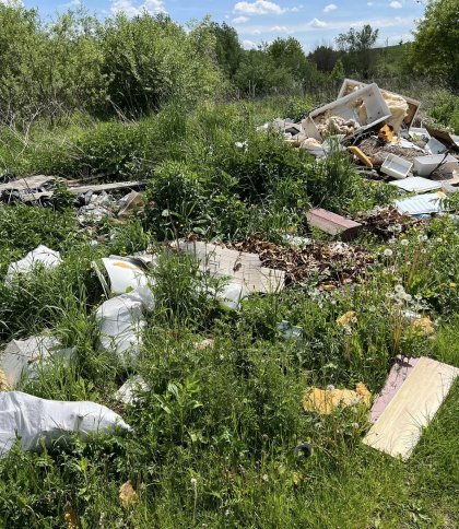 Незаконне сміттєзвалище у Городку на Львівщині