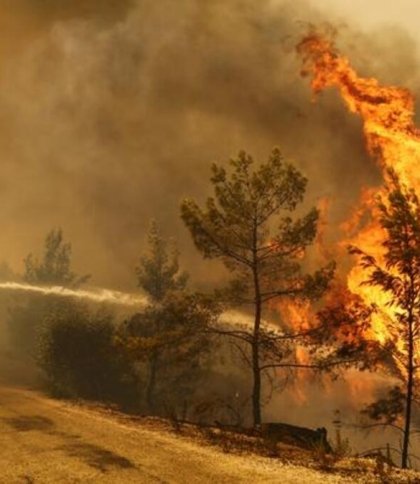 Пожежі в Туреччині: температура повітря досі підвищується