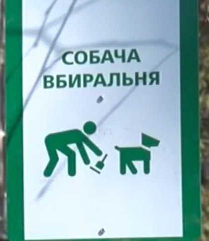 Де у Львові облаштують станції прибирання за собаками