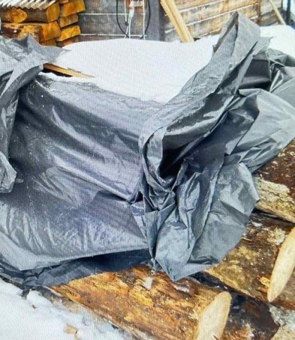 Спиляв смерек на понад 900 тис. грн: на Львівщині викрили чоловіка, який вирубав дерева в заказнику