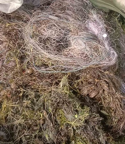 На Львівщині ліквідували незаконно встановлену сітку для вилову риби (відео)