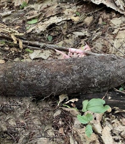 У Львові знайшли артилерійський снаряд часів Другої світової війни