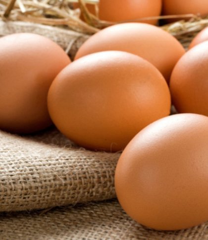 Найближчим часом ціни на курячі яйця стабілізуються: які причини