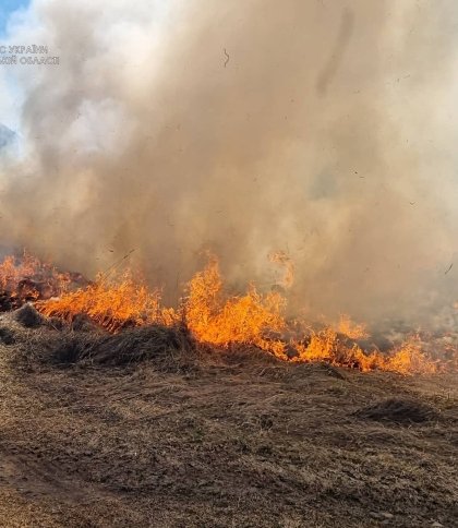Майже сотню пожеж через спалення сухостою гасили учора на Львівщині