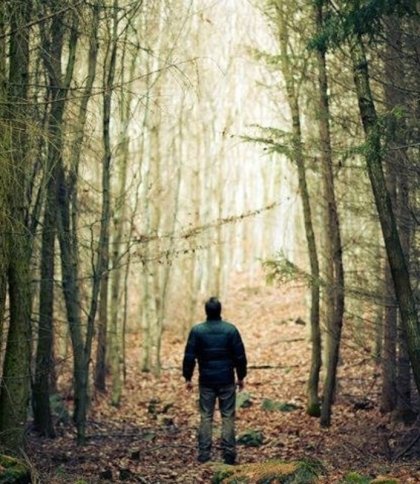 Топ порад, як не заблукати в лісі