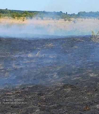 Рятувальники розповіли, де на Львівщині найбільше палять суху траву