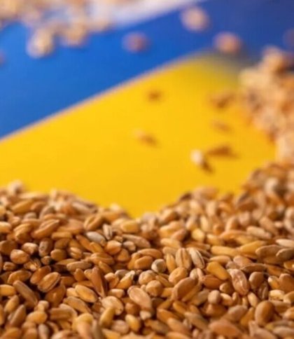 Білорусь дозволить транзит українського зерна до литовських портів