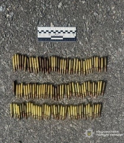 На Золочівщині поліція знайшла 100 патронів під час виїзду про домашнє насильство