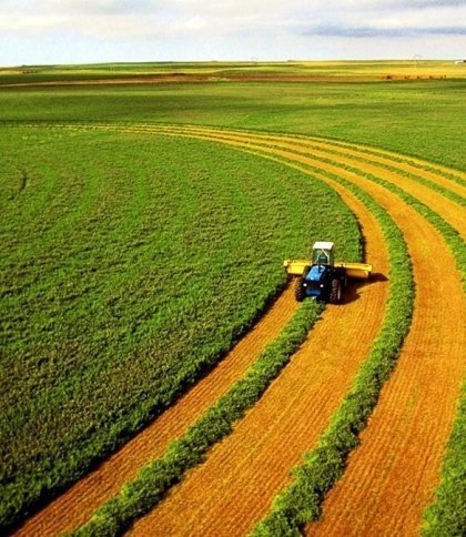 Венесуела передасть Ірану 1 млн гектарів своїх земель для ведення сільського господарства