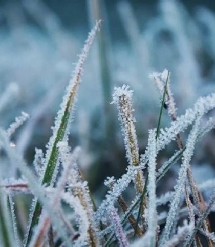 На Львівщині у ніч на п`ятницю прогнозують заморозки