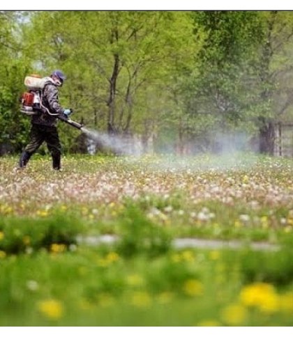 У Львові чотири дні оброблятимуть парки від кліщів