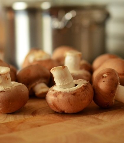 Мариновані гриби на зиму: простий та швидкий рецепт