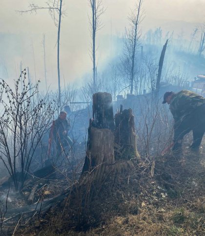 Лісова пожежа на Закарпатті, фото ДСНС