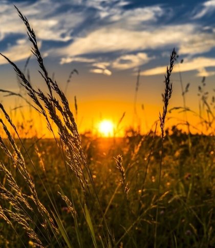 На Львівщині 15 серпня синоптики прогнозують до 32 градусів тепла