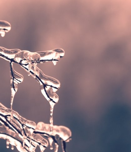 Погода на Львівщині: прогноз на 2 грудня