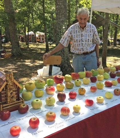 «Мисливець за яблуками» відновив 1200 сортів зниклих яблунь