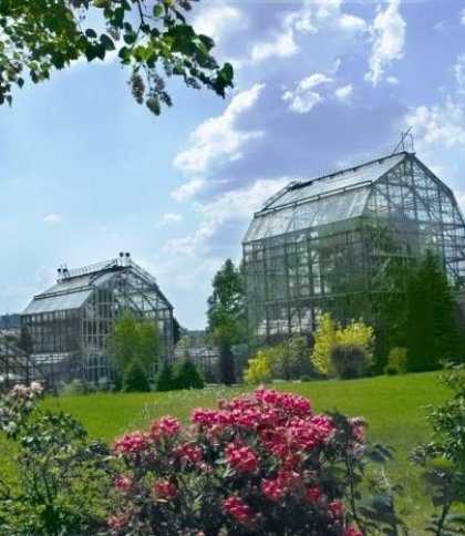 Вперше від початку карантину у Львові можна відвідати Ботанічний сад ЛНУ: деталі