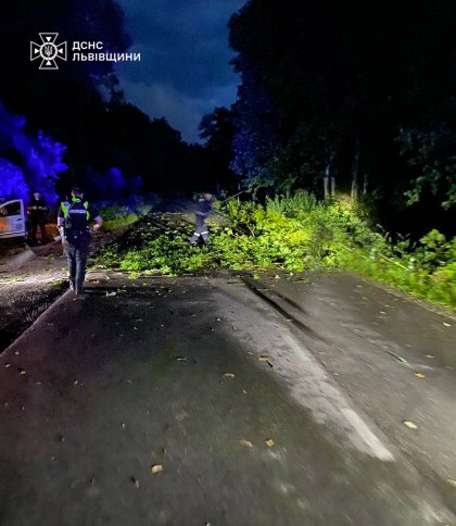 На Львівщині нічний буревій повалив дерева: рух двома трасами був заблокований