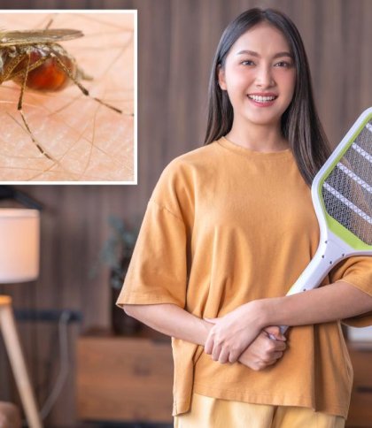 Запах людини перетворює її на магніт для комарів: результати дослідження