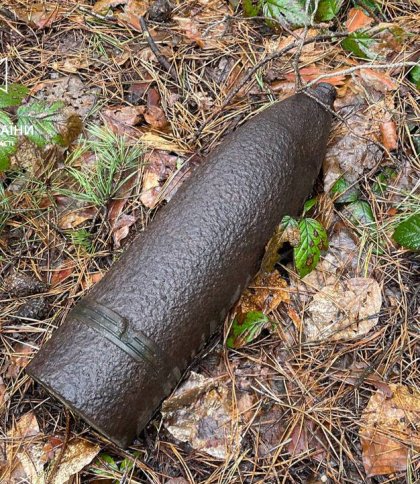 У Брюховичах знайшли артилерійські снаряди часів Другої світової