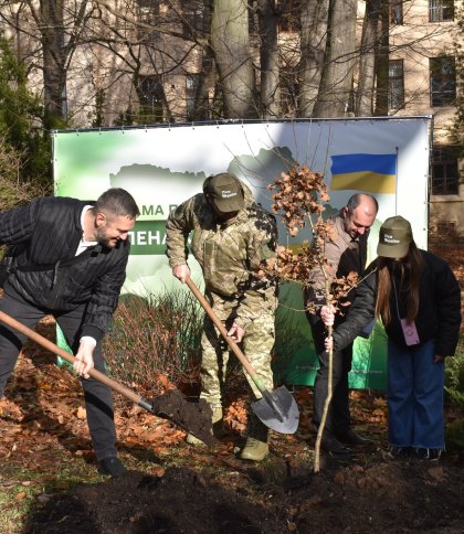 У Львові висадили “мільярдне дерево” в межах акції “Зелена країна”