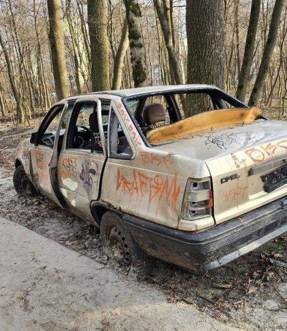 У Львові на штрафмайданчик приберуть ще 14 покинутих авто