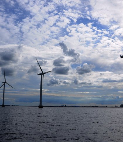 Вітрова енергетика Польщі: як це допомагає розвивати економіку і які виклики стоять