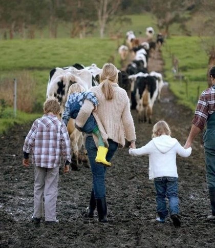 Понад 50 сімейних фермерських господарств діють на Львівщині