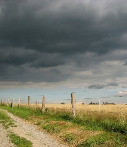 Якою буде погода на Львівщині 15 червня