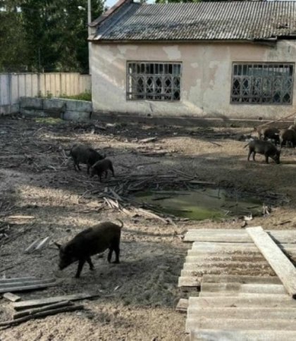 Землю колишнього геріатричного пансіонату в Брюховичах остаточно повернули громаді