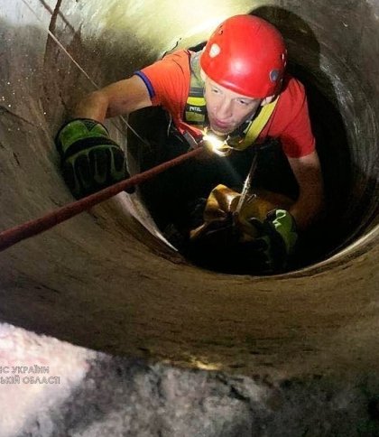 На Львівщині рятувальники дістали кота, який впав у колодязь