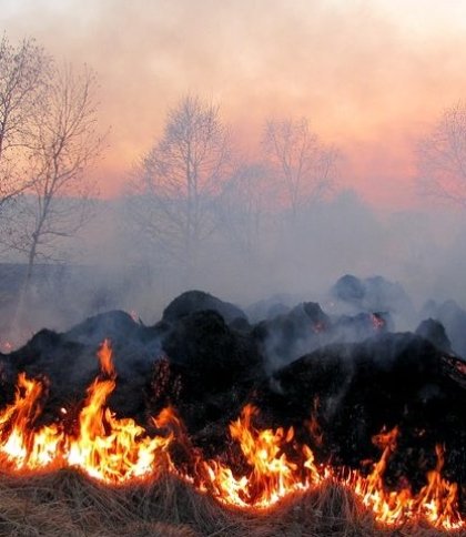 Впродовж трьох днів на Львівщині очікується висока пожежна небезпека
