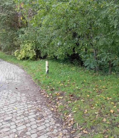 Землю під торгові будівлі в Бориславі продали в 18 разів дорожче стартової ціни