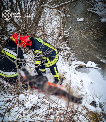 На Львівщині у річці втонула 49-річна жінка