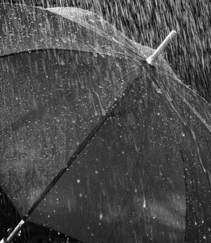 Дощ, парасоля