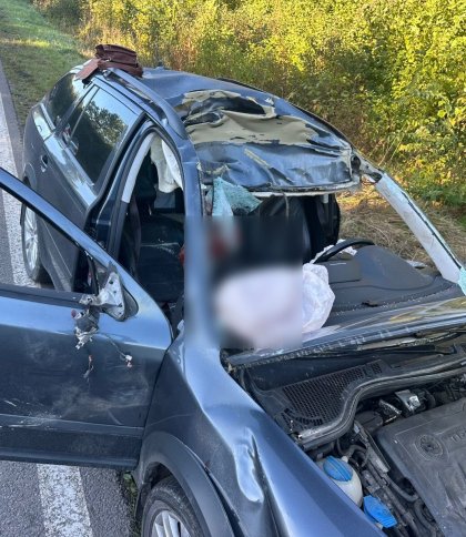 В аварії з лосем біля Великих Мостів загинув 57-річний пасажир Škoda