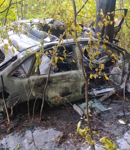 На Стрийщині сталася смертельна ДТП: Ford Focus злетів у кювет та врізався в дерево