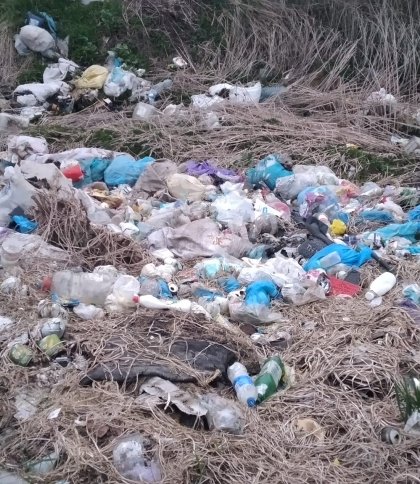 Пластикові пляшки та пакети зі сміттям: на Городоччині виявили стихійне сміттєзвалище (фото)