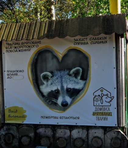Львів'ян закликають приносити речі на ярмарок для підтримки врятованих тварин